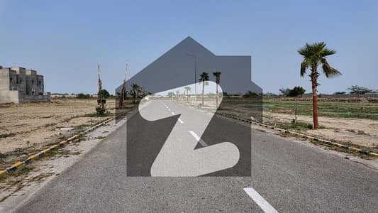پیراگون