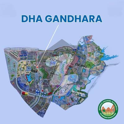 ڈی