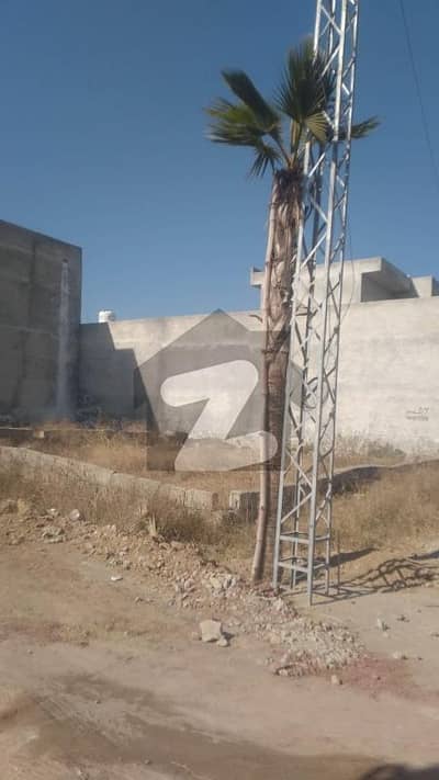 زمر