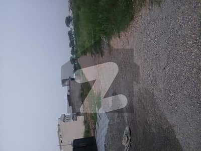یونیورسٹی