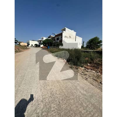 Street