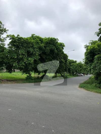 ڈی ایچ اے فیز 5 - بلاک ایف فیز 5,ڈیفنس (ڈی ایچ اے),لاہور میں 4 کنال رہائشی پلاٹ 42.0 کروڑ میں برائے فروخت۔