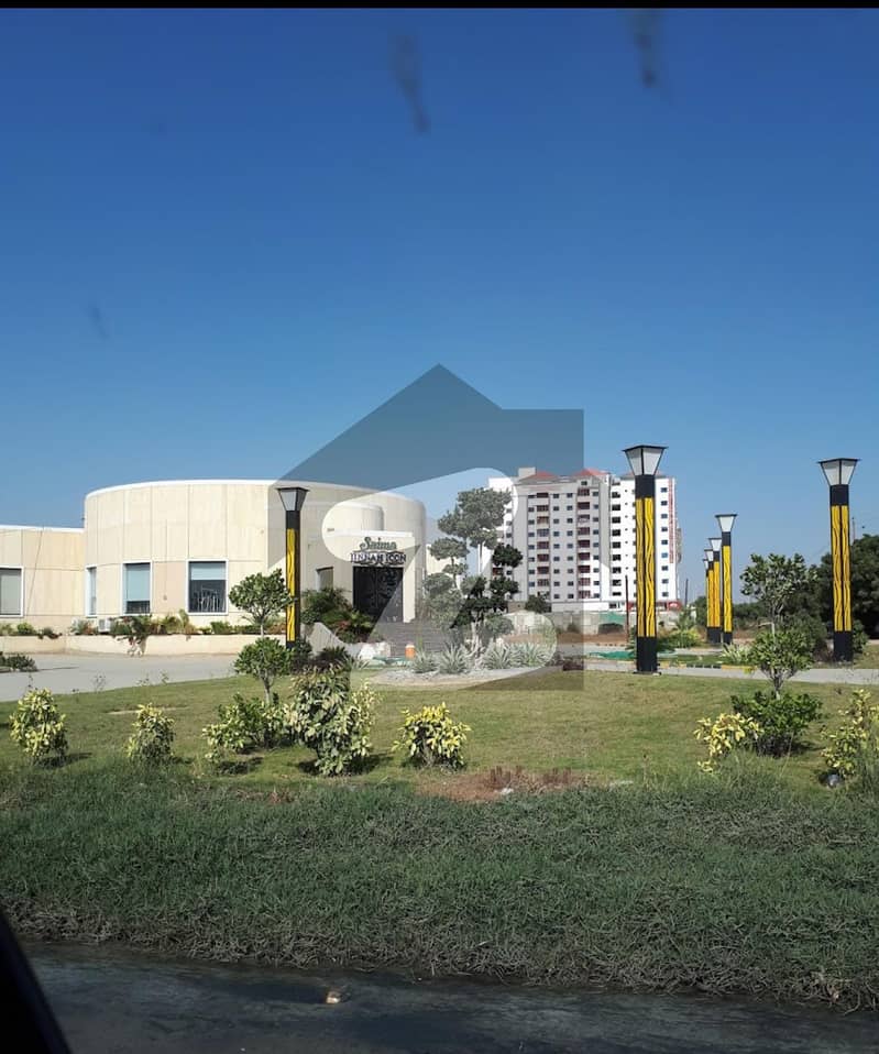 Saima Jinnah Icon Flat