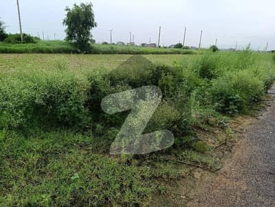 5 Marla Level Plot Near Park Top Location