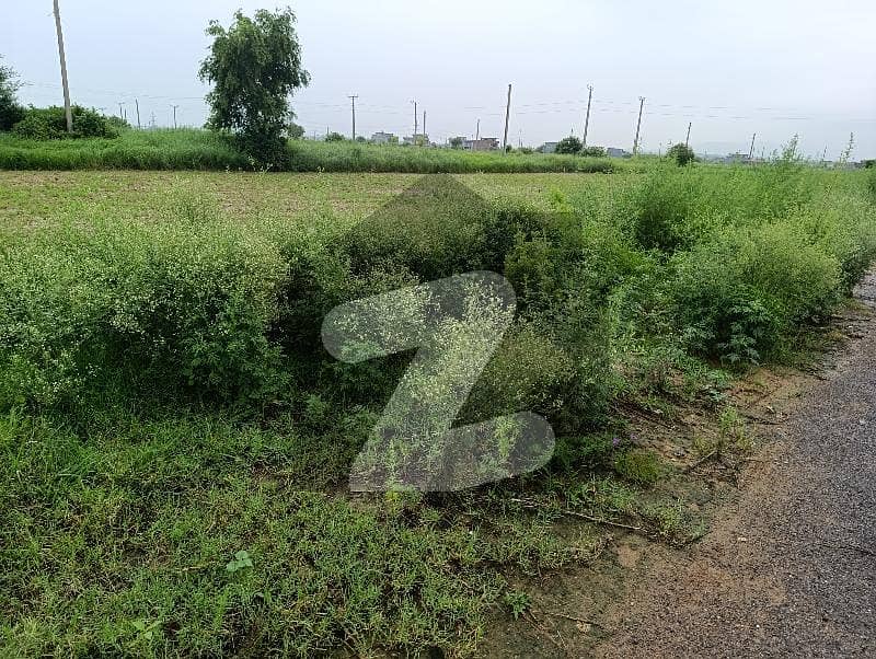 5 Marla Level Plot Near Park Top Location 5 Marla Level Plot Near Park Top Location