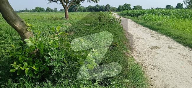 برکی