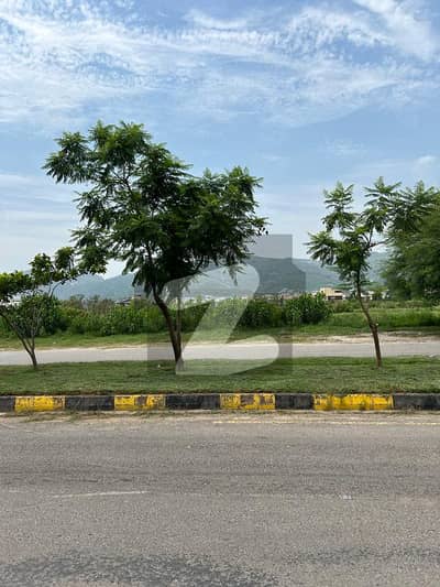 D-12/4 Top location Double Road Plot For Sale