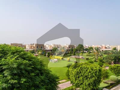 ڈریمز