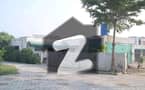 20 
