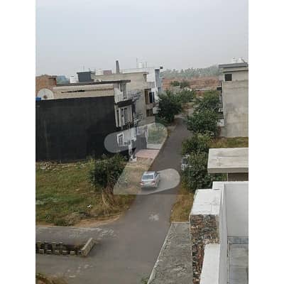 University