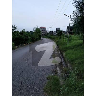 Avail