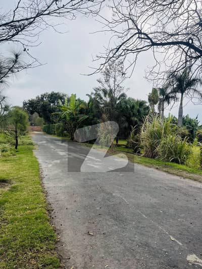 2 Knal Farm House For Sale Bedia Road Lahore
