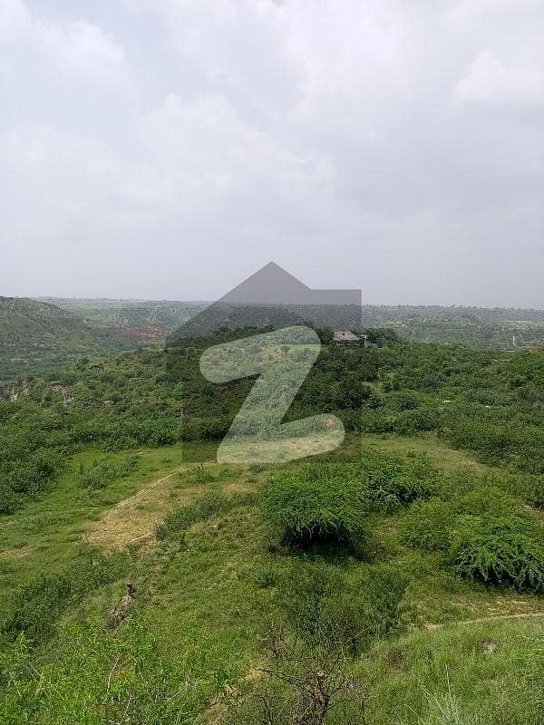 1700 Kanal Agricultural Land For Sale Chakwal 1700 Kanal Agricultural Land For Sale Chakwal