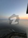 26 