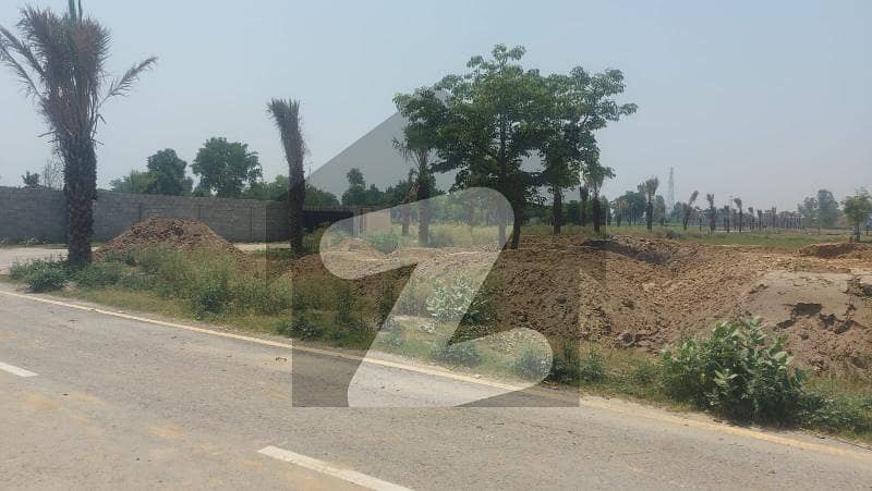 5 Kanal Residential farm available in sofia farm 5 Kanal Residential farm available in sofia farm