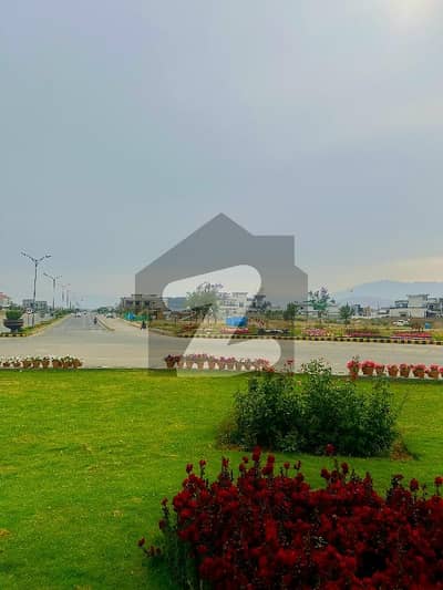 ڈی