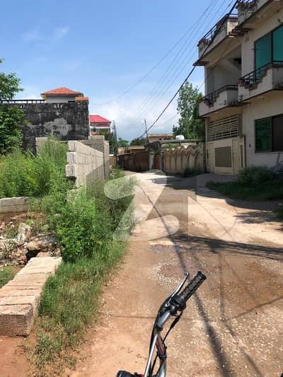 بنی
