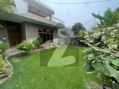 ڈی