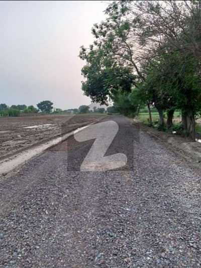 برکی