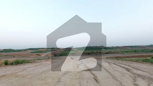 سی