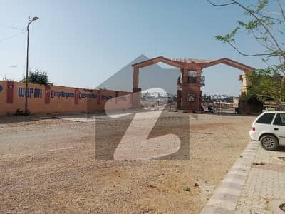صائمہ