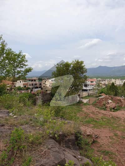 بنی