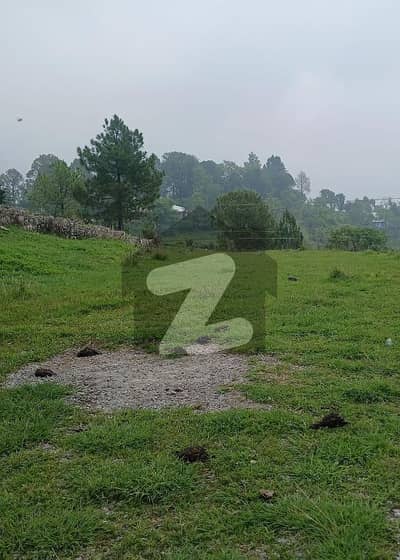 پیر