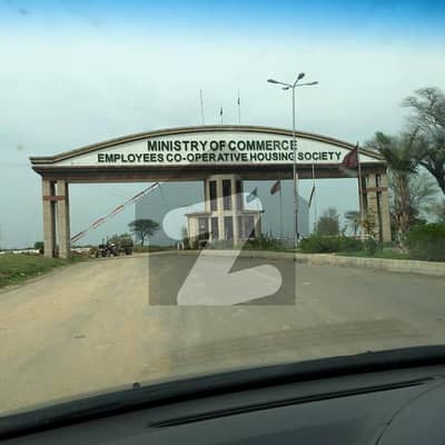 E-19 Ministry Of Commerce 50x90 Plot For Sale