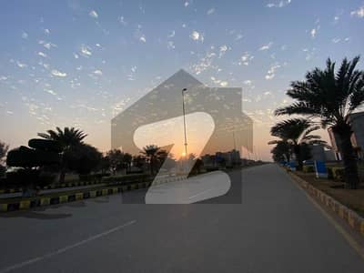 سٹی