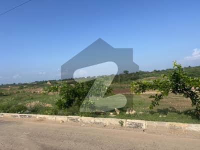 ڈی