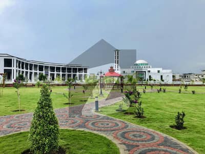 ڈی
