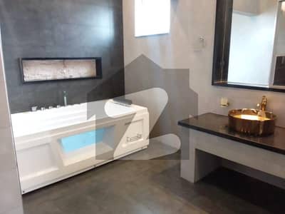 Wapda Town Ph1 Block E1.1 Kanal Brand New Luxury House For Rent