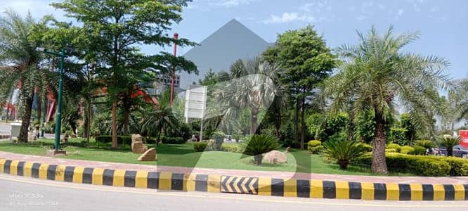 Selling Plot In Gulberg Islamabad