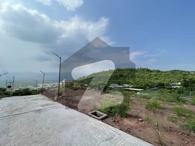 بنی