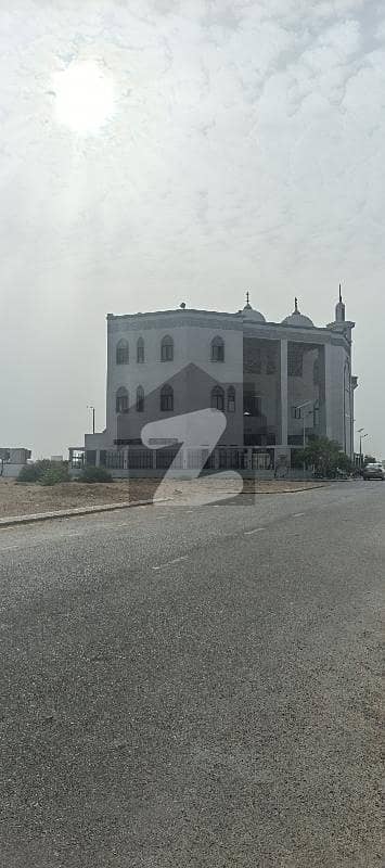 پینینزولیا
