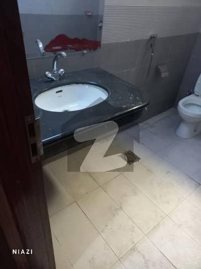 Beautiful Basement For Rent