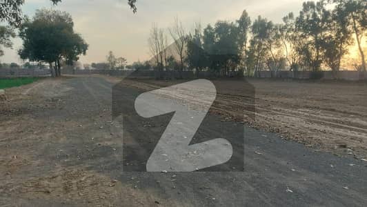 بیدیاں