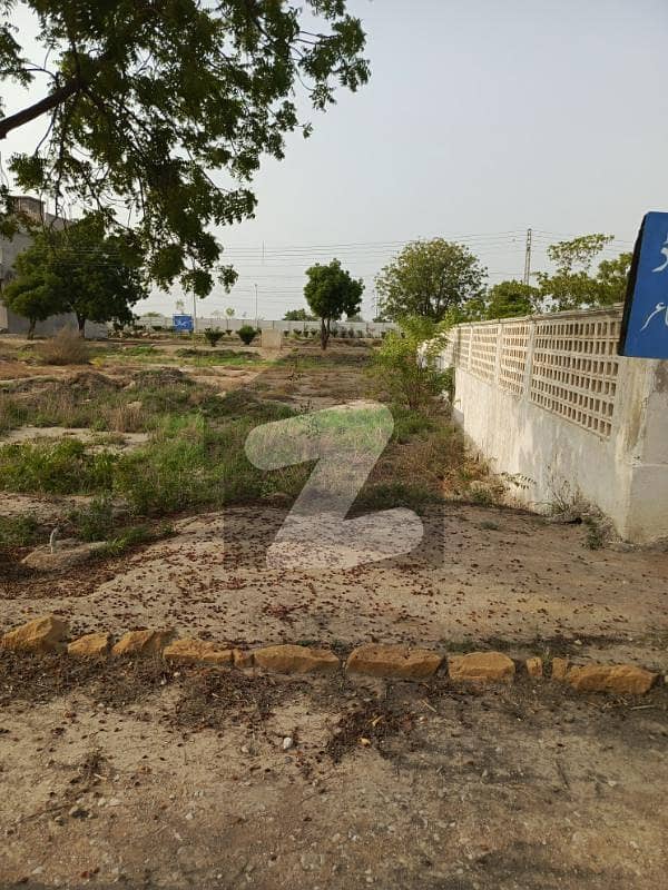Plot for Sale