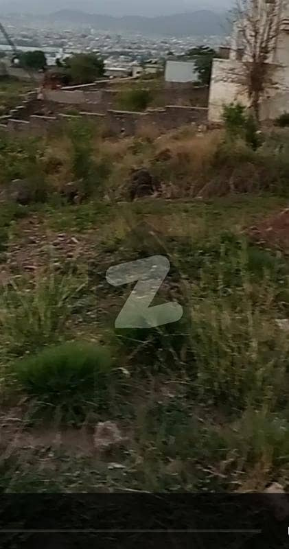 plot f0r seal beautiful location 72 marla