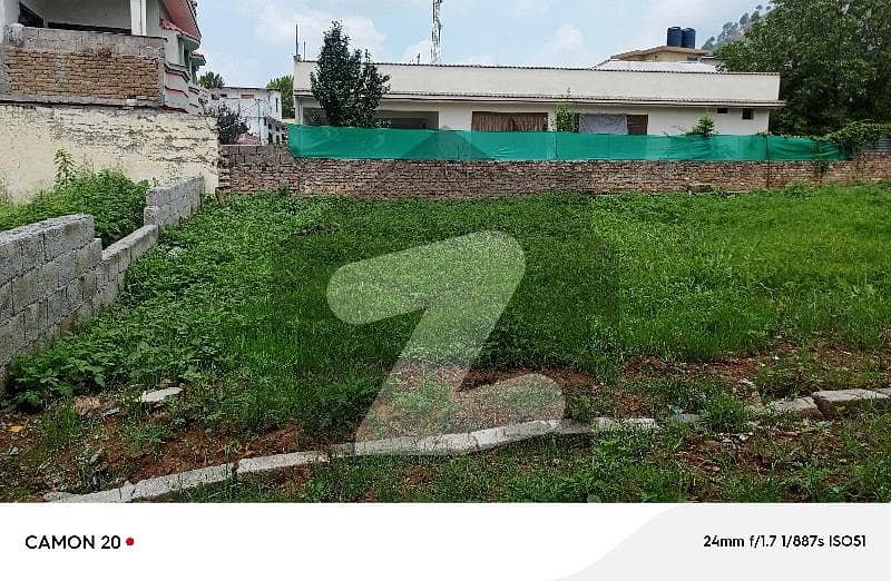 1 Kanal Plot For Sale At Kalapul Abbottabad
