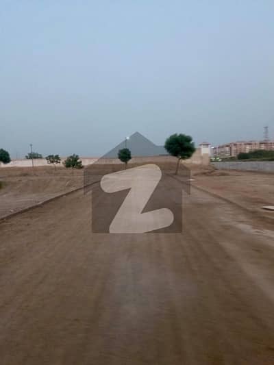 240