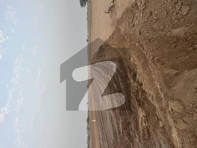 سٹی
