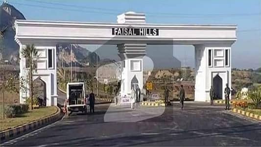 Faisal