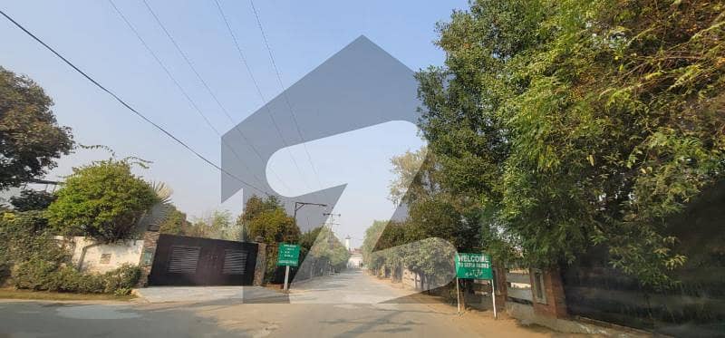 بیدیاں روڈ لاہور میں 11 کنال رہائشی پلاٹ 13.75 کروڑ میں برائے فروخت۔