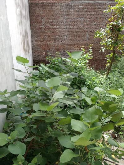 سمبڑیال