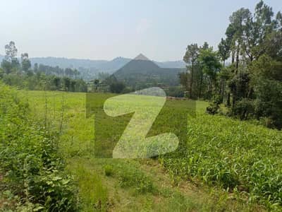 2 Kanal Residential Plot Is Available For Sale In Mangal Abbottabad
