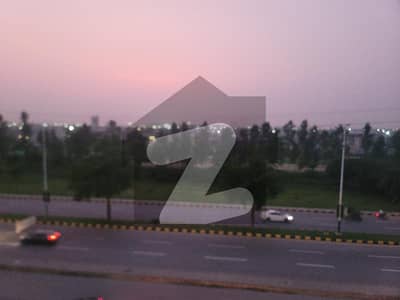 The