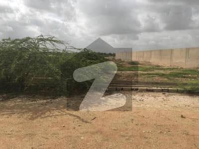 سندھ