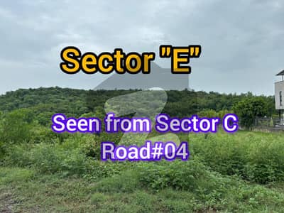 Sector