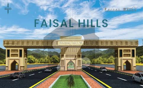فیصل